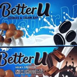 Best Websites To Buy Mushroom Chocolate Bar