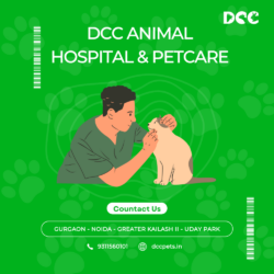 DCC ANIMAL HOSPITAL &