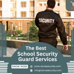 Verve Security Services (3)