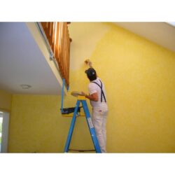 Best Painters in Victoria BC