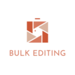 Bulk Editing logo