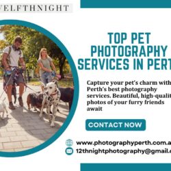 Top Pet Photography Services in Perth