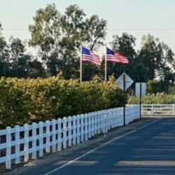 Flagpole Repair Service In California (1)